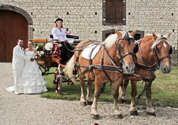 location de calèche, anniversaire, mariage